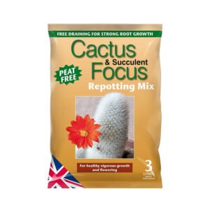 Cactus & Succulent Focus – Repotting Mix