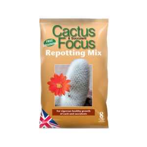 Cactus & Succulent Focus – Repotting Mix