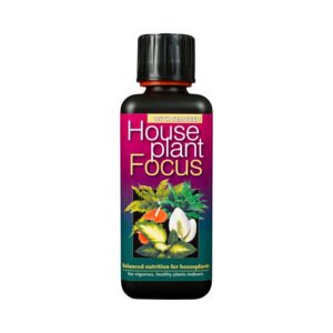 Houseplant Focus – Plant Nutrition