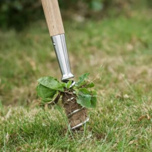 Kent & Stowe Stainless Steel Long Corkscrew Weeder