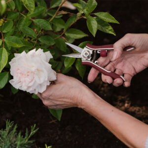 Kent and Stowe Garden Life Pruning Snips