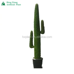 Factory wholesale HX011501 artificial bonsai cactus for home decoration